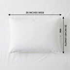 Revuola Premium White Down Pillow – Standard Size (20"x26") – 600 Loft Ethically Sourced European Down – 100% Cotton 233TC Shell – Medium Firmness – Made in Canada – DOWNMARK & OEKO-TEX Certified